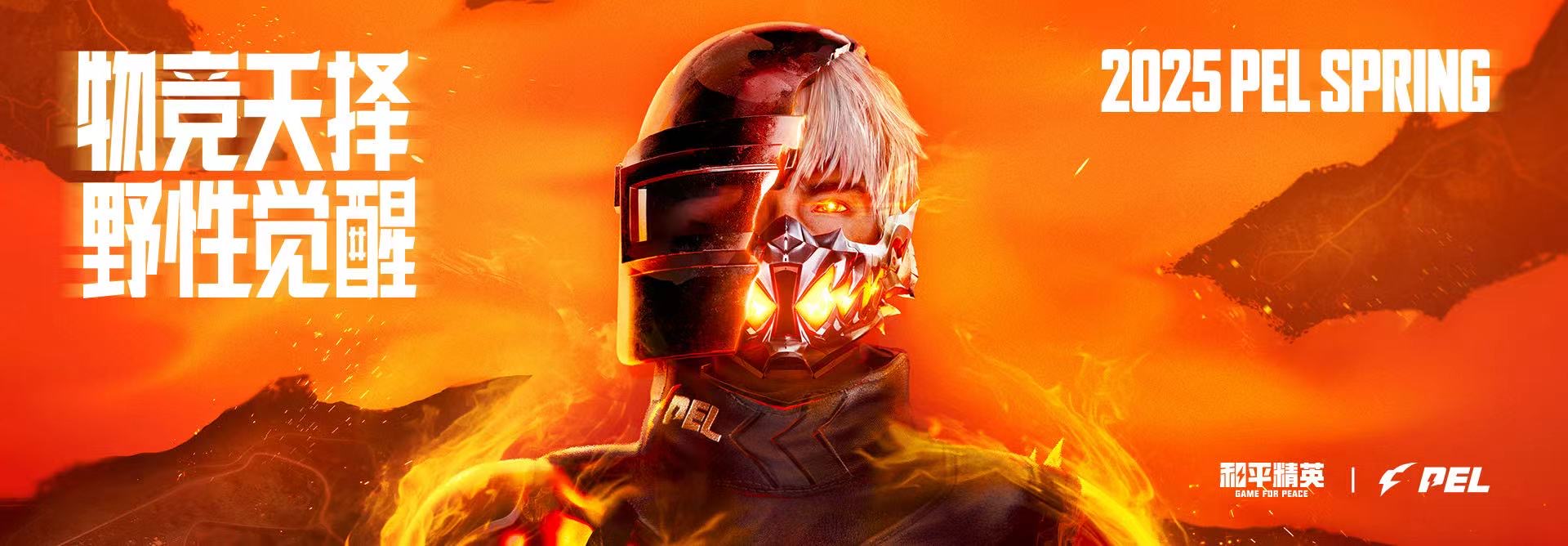 揭秘和平精英辅助工具的真相:你真的需要它吗